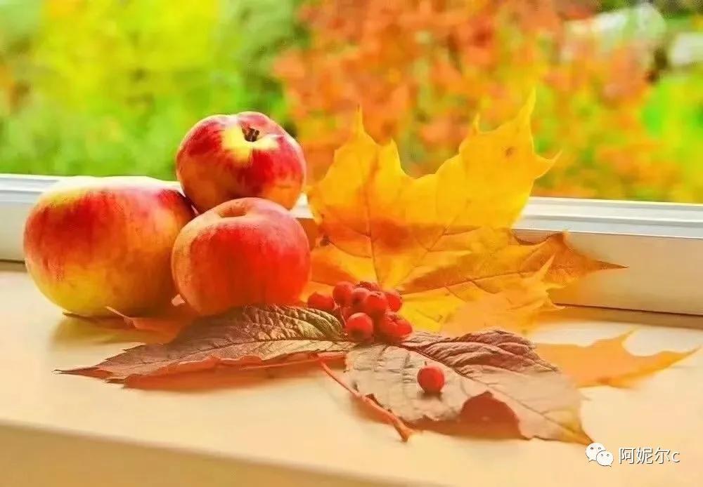 世界完全对称日爱情意义(20211202)