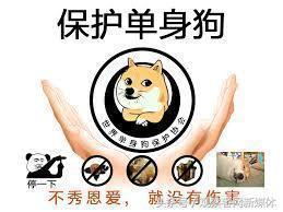 丧女是什么意思(丧女是什么意思啊这么回复)