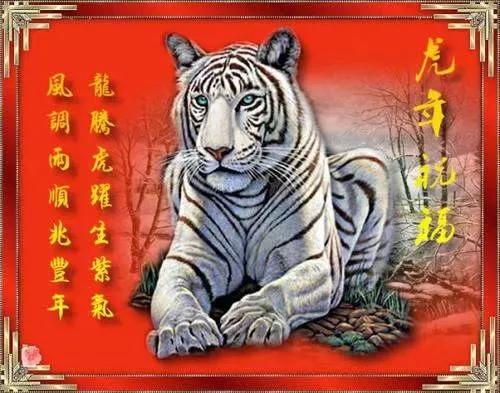 2022新年祝福贺词(恭祝大家新年快乐祝福语)