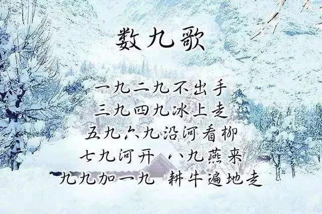 一九二九三九顺口溜2022（一九二九三九顺口溜 九九歌）