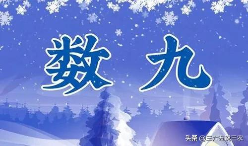 三九天从什么时候开始算(2022年三九天从什么时候开始算)