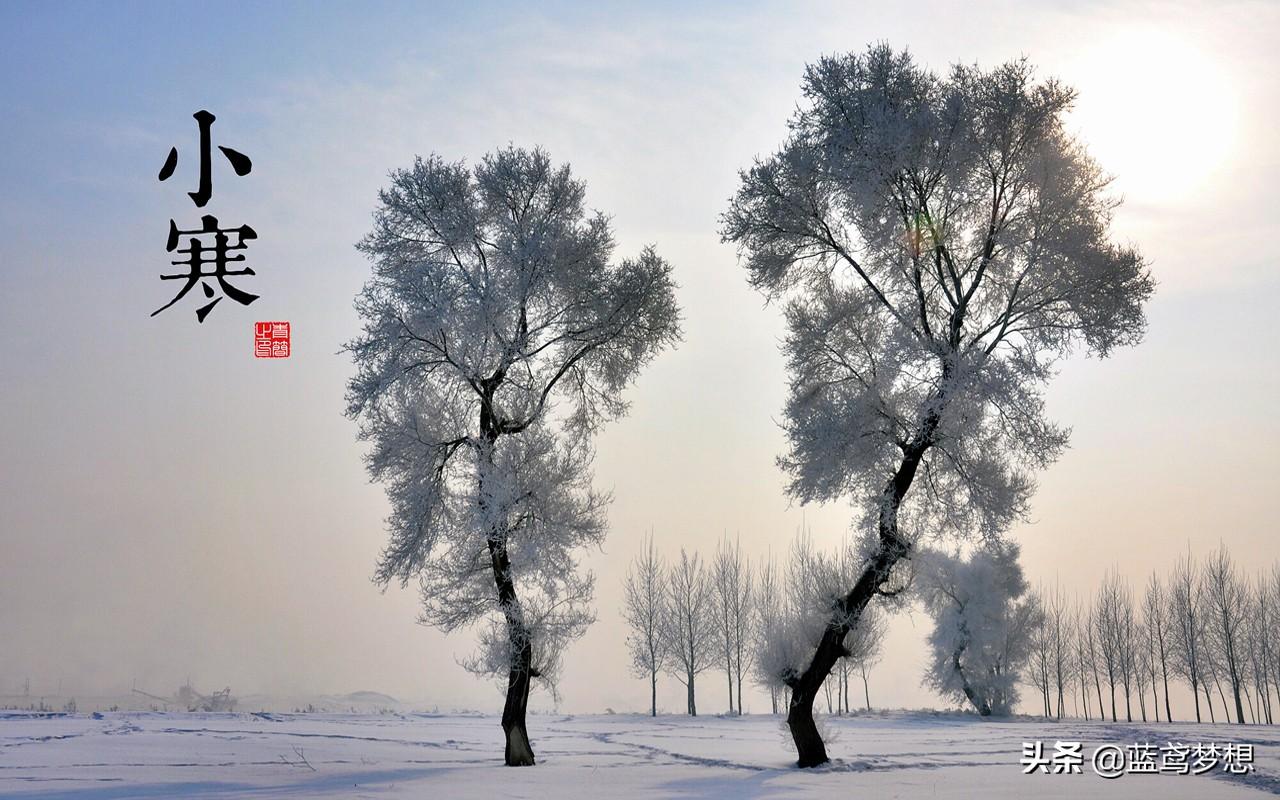 2022年三九天从什么时候开始(三九天2022从哪天开始)