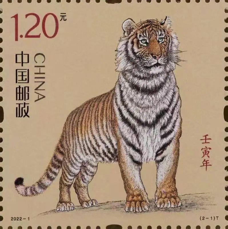 虎年生肖邮票(虎年生肖邮票简笔画)