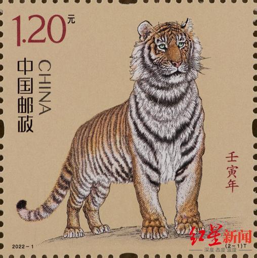 虎年邮票(虎年邮票2022大版)