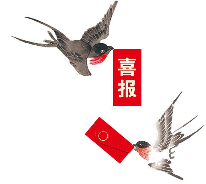 2022虎好还是2023兔好(2022虎2023兔哪个好)
