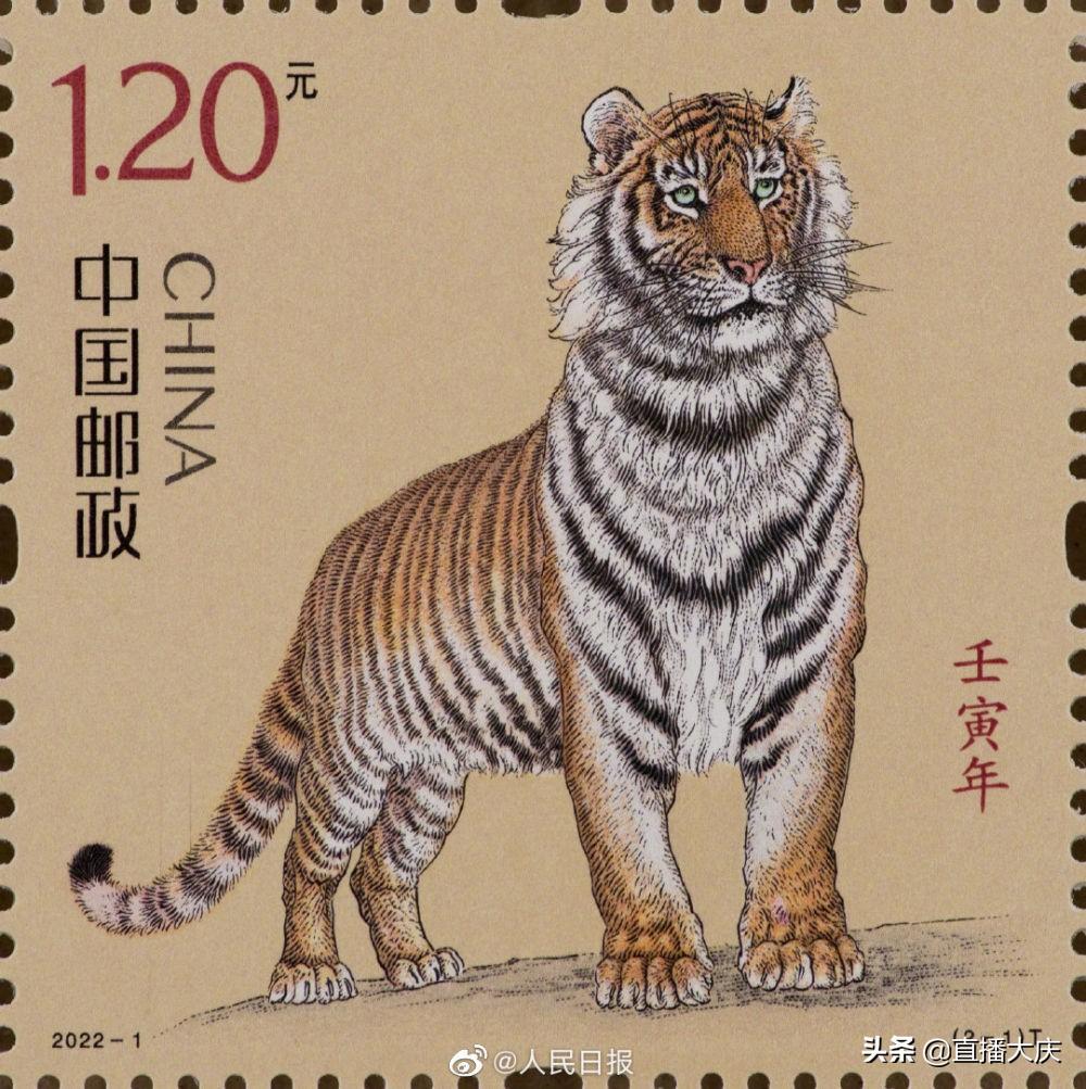 虎年生肖邮票价格(虎年生肖邮票设计)