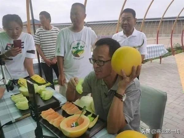 新东方平均每2天成立一家新公司(新东方集团)