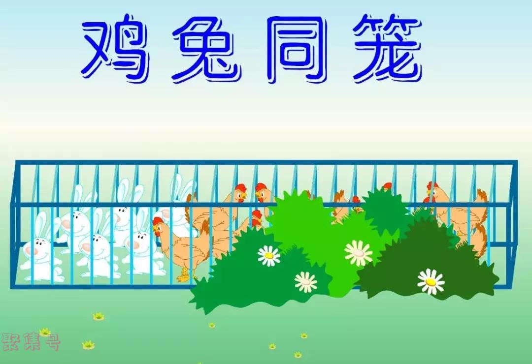 鸡兔同笼解题方法（鸡兔同笼问题思路）