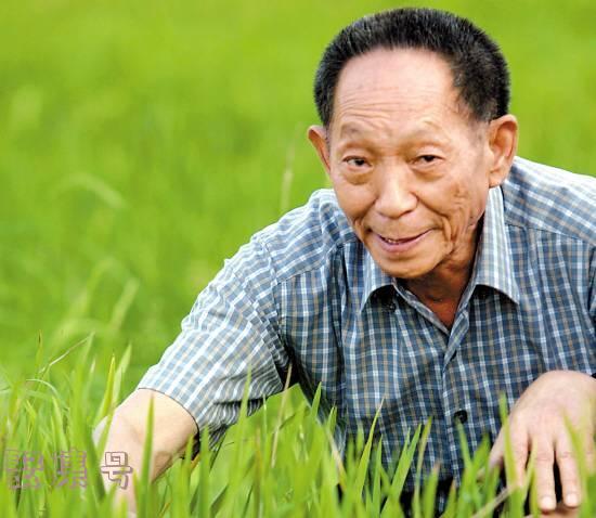 院士一年工资多少(2021年两院院士最终名单)