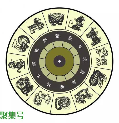 十二生肖排序（十二生肖排序表图）