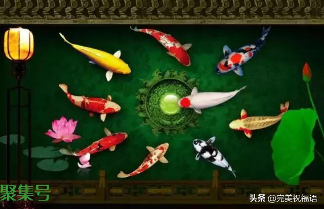 歌曲好运来串词报幕词(歌曲好运来串词介绍)
