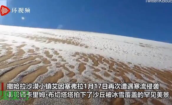撒哈拉沙漠小镇连续第二年下雪（沙哈拉沙漠被大雪覆盖）