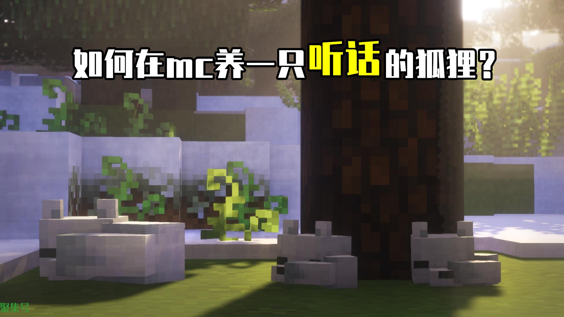 宠物狐狸怎么养(我的世界狐狸怎么养)