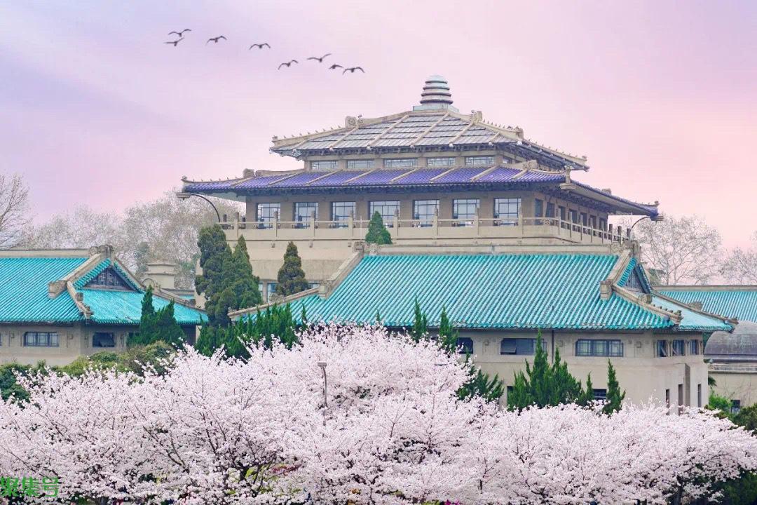 武汉大学的专业有哪些(武汉大学有什么好专业)