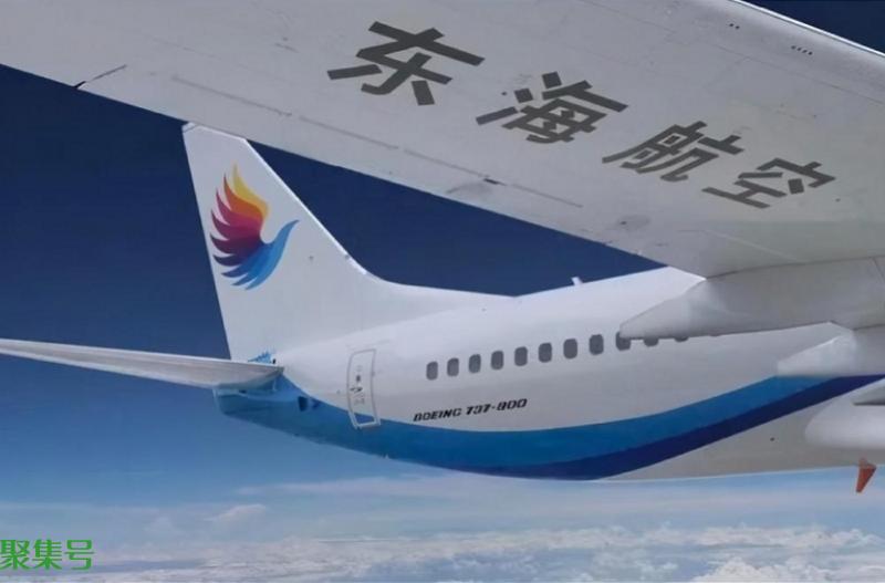 东海航空与乘务员空中互殴机长发声(称已上报民航主管部门)