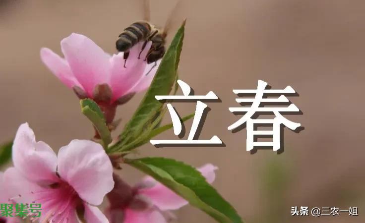 立春是2022的几月几日（2022年躲春时间几点到几点）