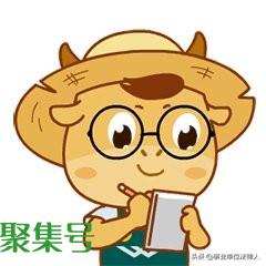 民政局干啥(民政局都有什么部门)