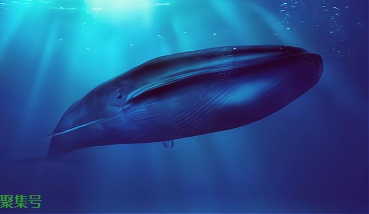 世界上最大的生物是什么(世上最大的生物有多大)