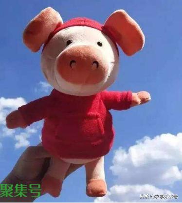 关于韩文的爱情句子(一段韩文的爱情句子)