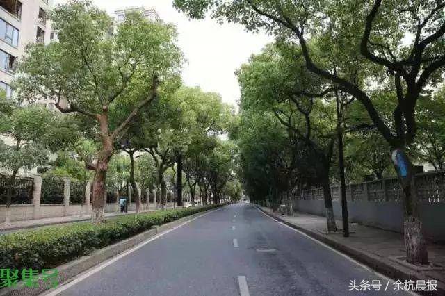 临平这些耳熟能详的名字来历全曝光