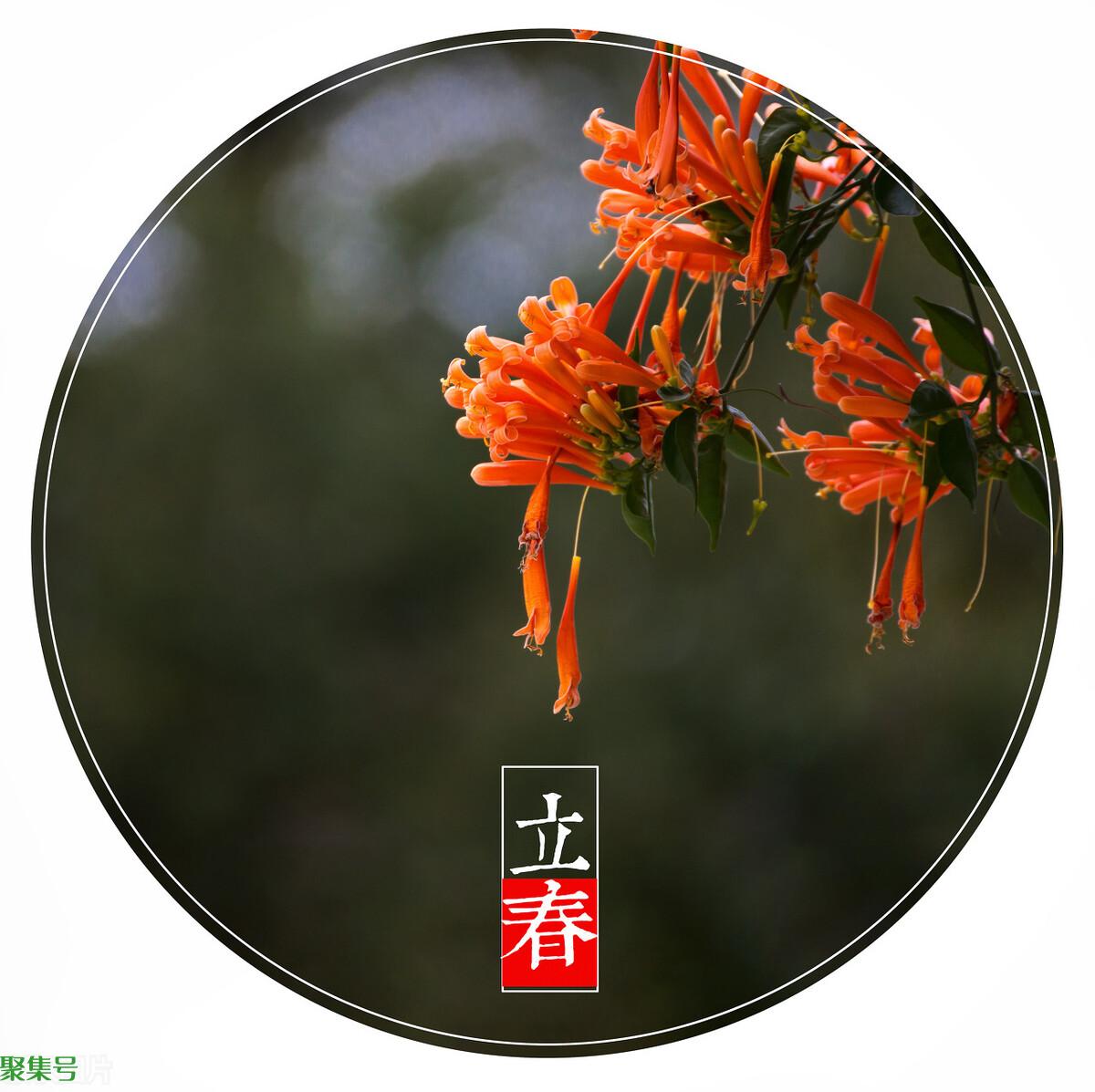 立春有什么讲究(立春有什么忌讳吗)