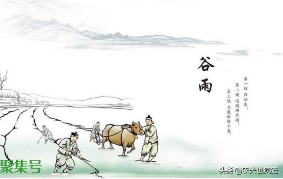 谷雨是什么意思(4月20谷雨是什么意思)