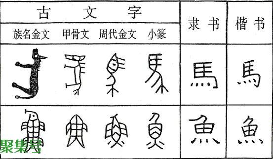 汉字的起源(汉字的起源与演变过程)