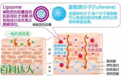 神奇的碳材料--富勒烯