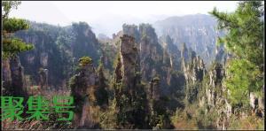张家界是哪个省份的旅游景点(张家界是哪个省的景区)