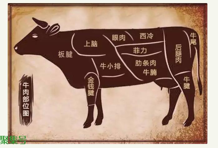 牛上脑的位置图(牛上脑是哪个部位图片)