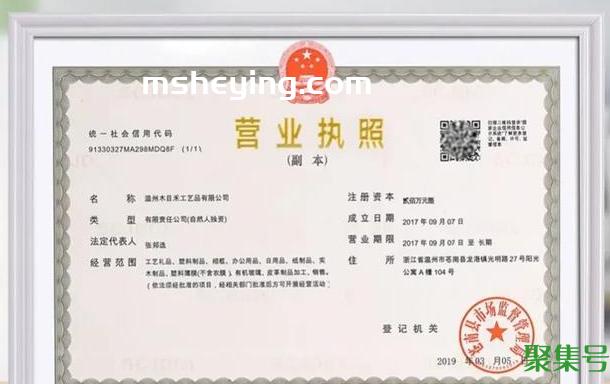 什么是有限公司（设立有限公司应具备的条件有哪些）