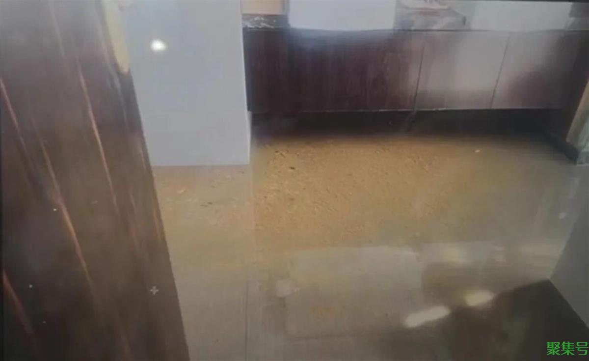 汤臣一品9500万住宅屡遭粪水漫灌