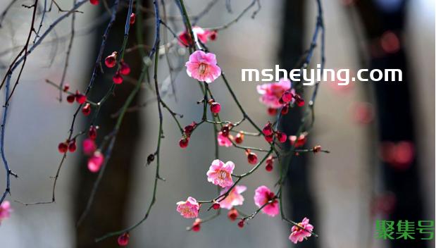 春分节气的含义是什么（今日春分）