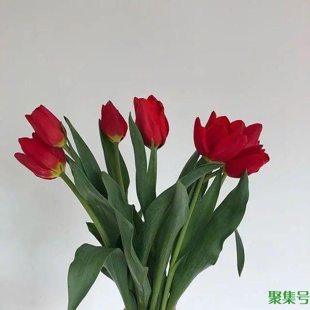 2022正月十五祝福语,简短有创意,暖人心窝