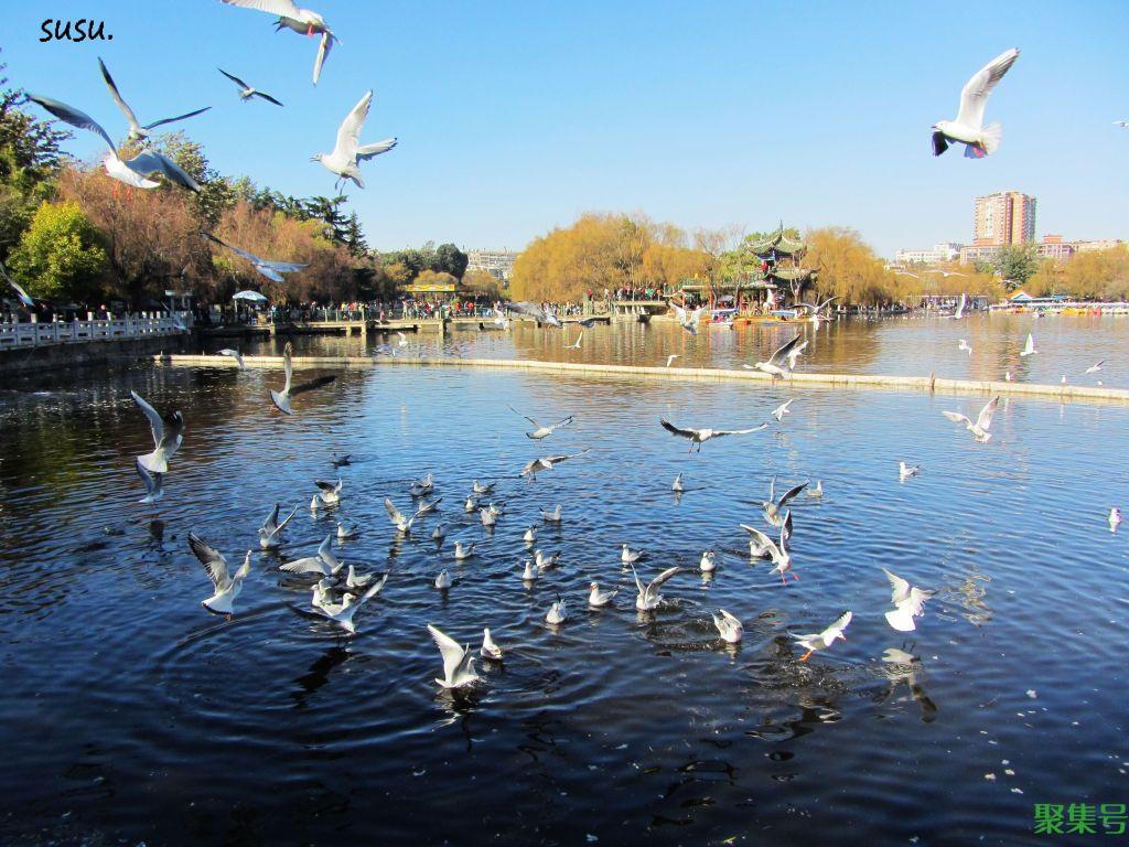 来昆明必打卡的八大景点,值得收藏