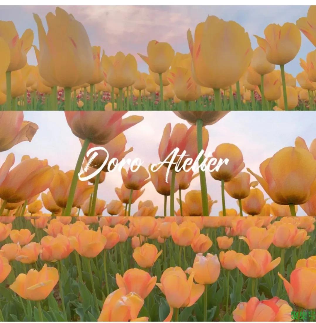 洛阳值得去的十大景点,你都去过哪些地方