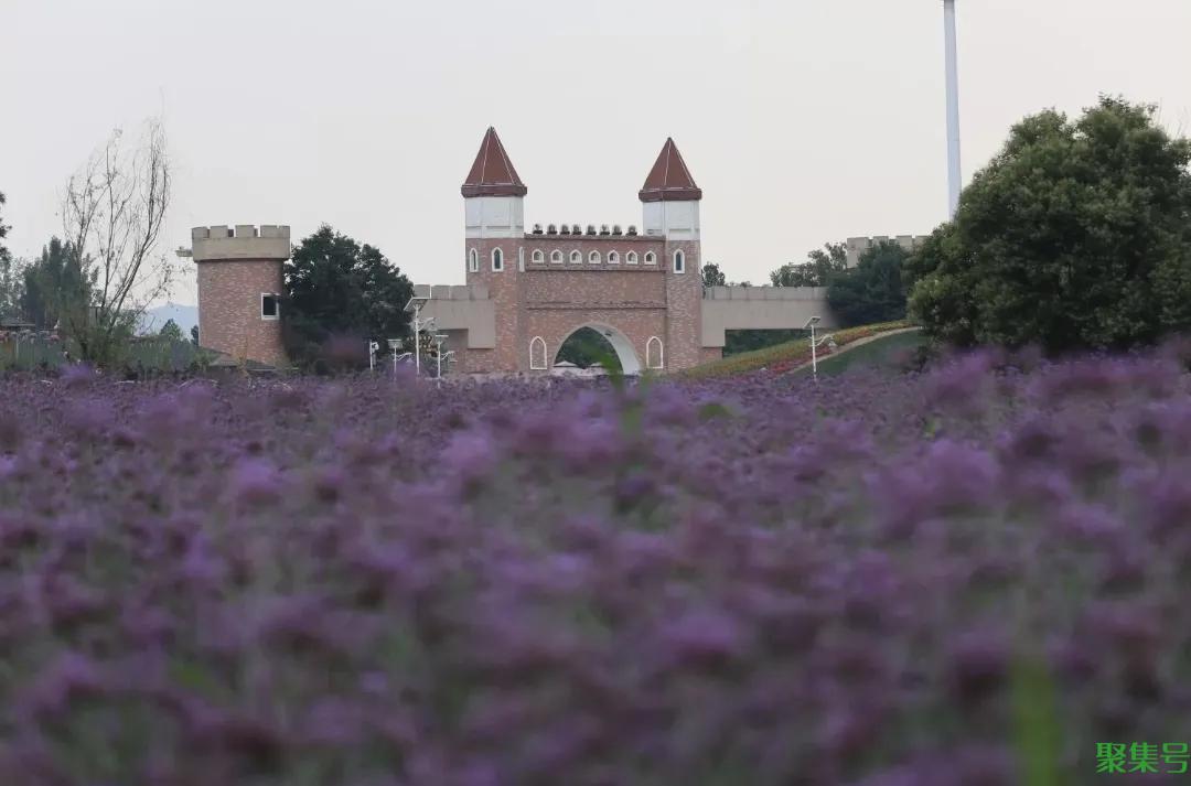 洛阳值得去的十大景点,你都去过哪些地方