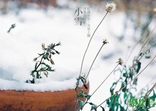 今天进入“冬月”,冬月代表什么意思?