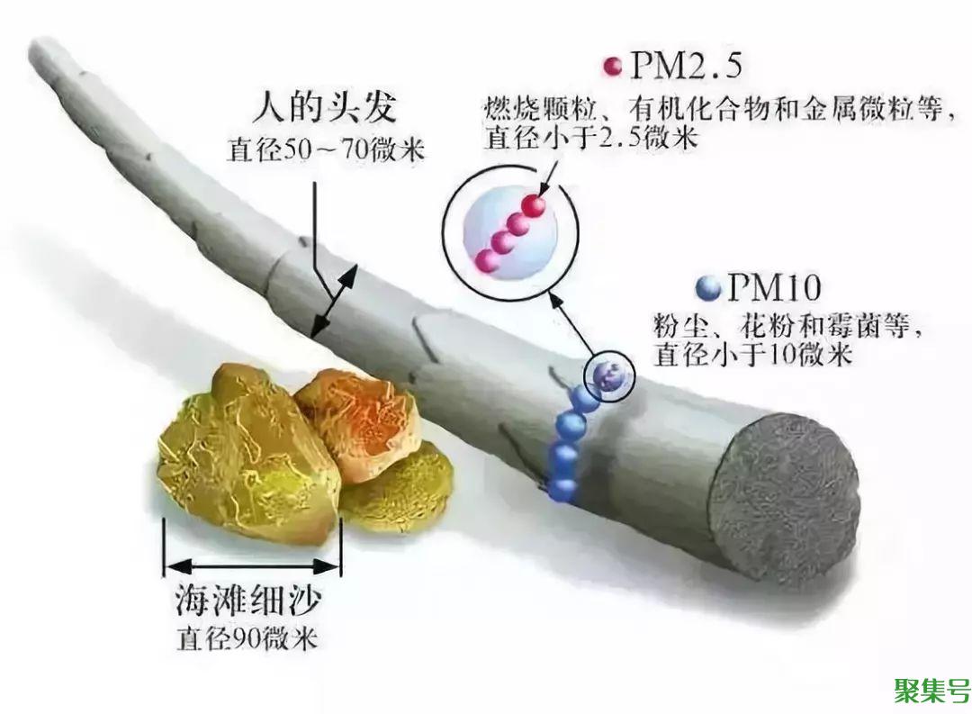 pm10是什么(pm10与pm2.5的主要来源有哪些)