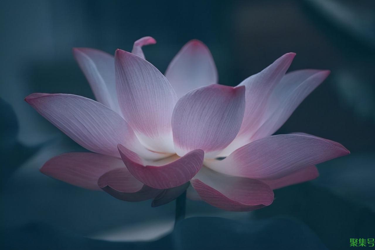 一句话表达缘分已尽(缘分尽了又何必纠缠)