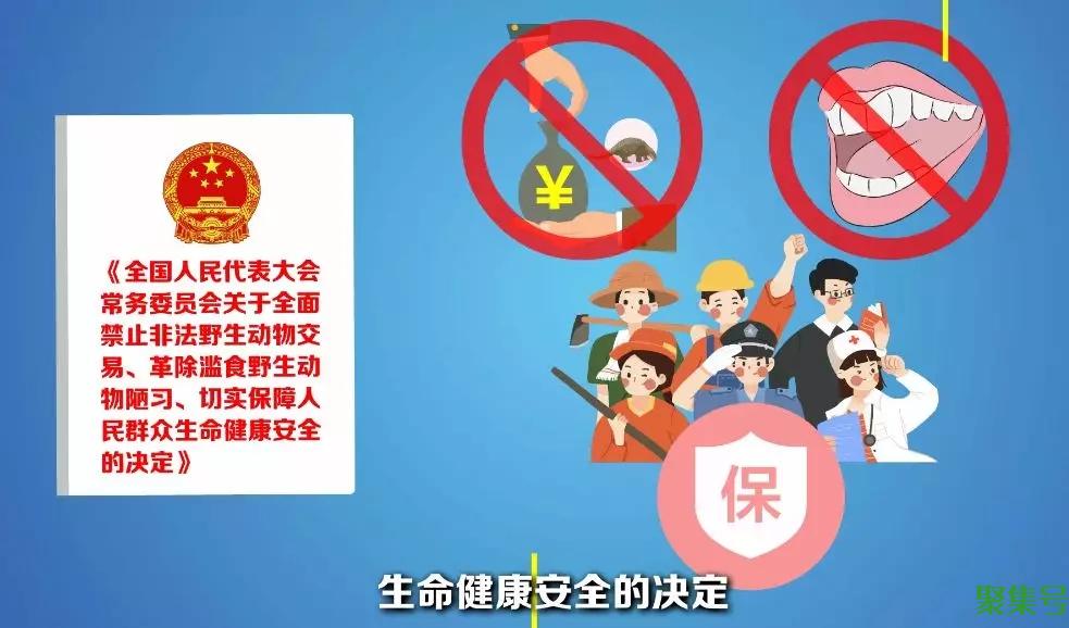 “三有动物”禁食了!你知道是哪“三有”吗?