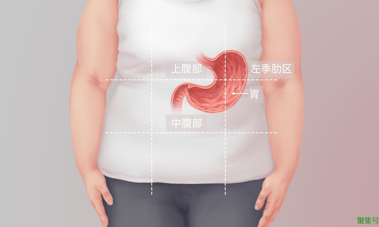 胃在什么位置(人的胃在什么位置图)