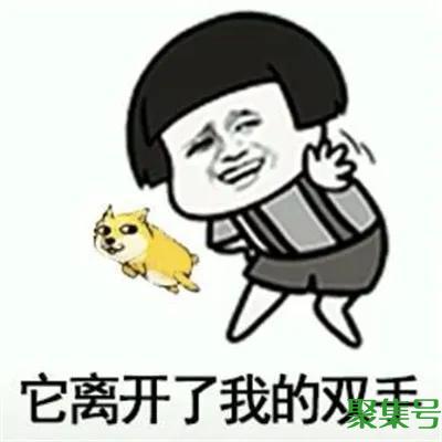 狗狗吃翔是为什么（狗狗为什么吃自己的便便）