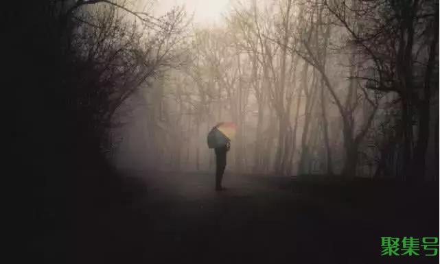 黑森林是什么意思（黑暗森林到底是什么）