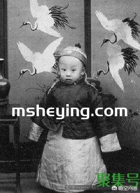 爱新觉罗弘历是溥仪的什么人?