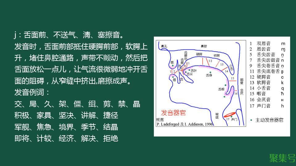 j读音(声母j的发音要点)