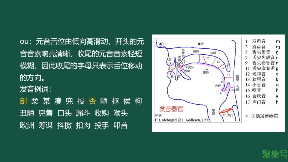 韵母ou的汉字有哪些(韵母ou的正确发音)