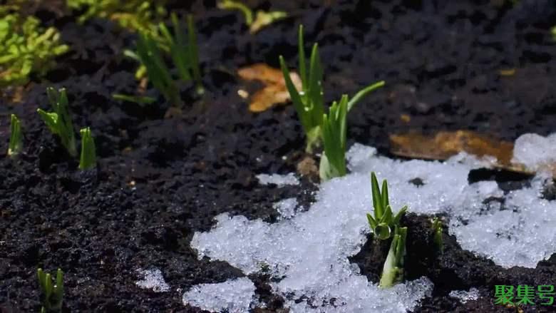 《说文解字》第269课:细说“遂”字