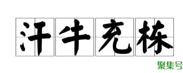 汗牛充栋的意思（汗牛充栋出处）