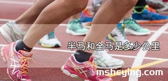 半马和全马是多少公里